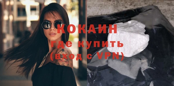шишки Шали