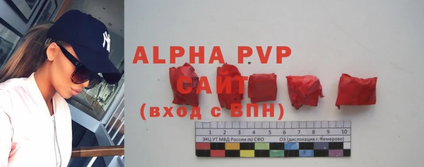 шишки Шали