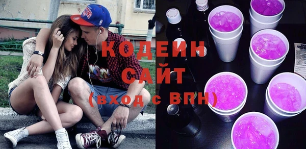 шишки Шали