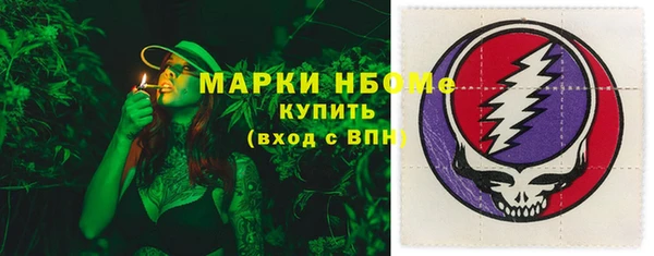 шишки Шали
