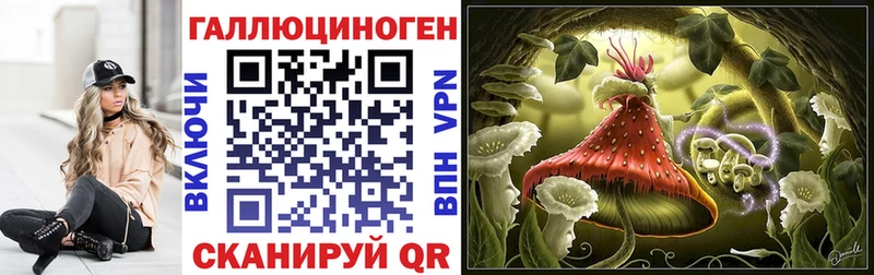 Псилоцибиновые грибы Psilocybe  Владикавказ 
