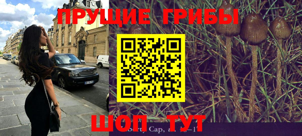 Галлюциногенные грибы ЛСД Владикавказ