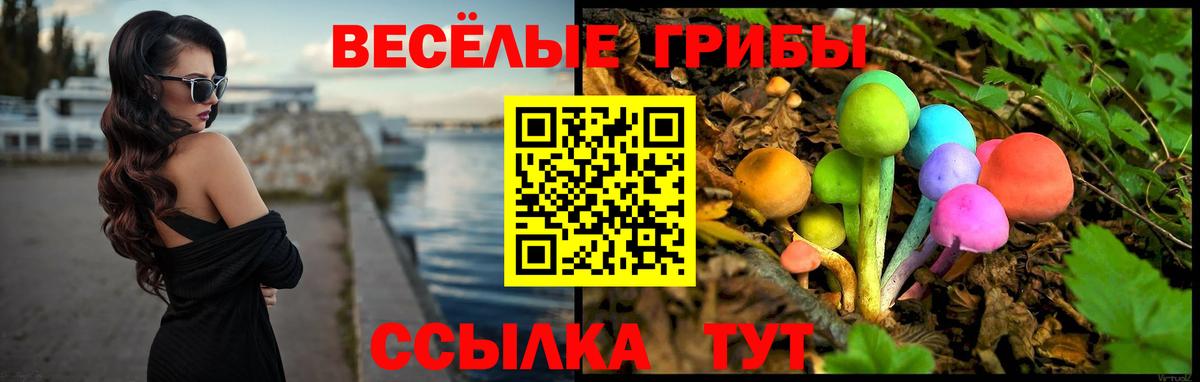 Псилоцибиновые грибы ЛСД  Вход с VPN  Владикавказ  Галлюциногенные грибы Magic Shrooms 